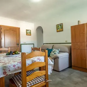 Luz C Bolonia